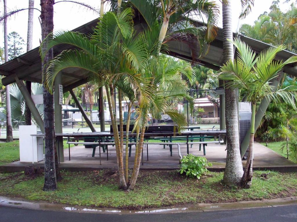 Banana Coast Caravan Park คอฟฟ์ฮาร์เบอร์ ภายนอก รูปภาพ
